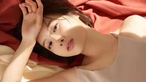 内娱恶犬秃鹰修罗场