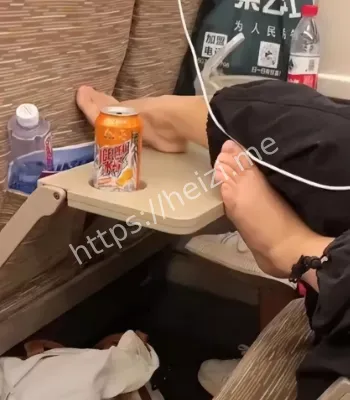 高铁脚放桌板事件